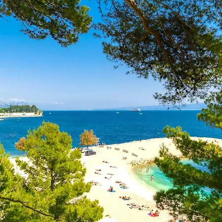 Stunning Kasuni In * سبليت