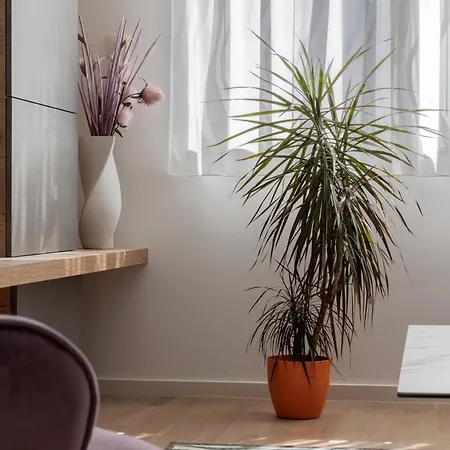 Apartman Stunning Kasuni In Split