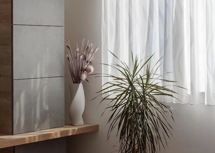 Stunning Kasuni In Appartement